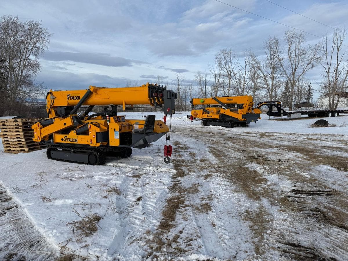 Mini crane photo 9